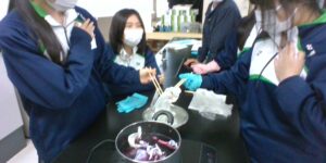 ３年生普通科類型　古典購読の授業で草木染め体験　