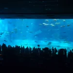 沖縄１